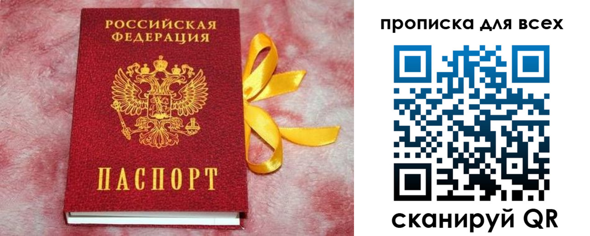 прописка для школы в Камешково
