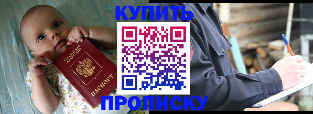 прописка поиск в Камешково